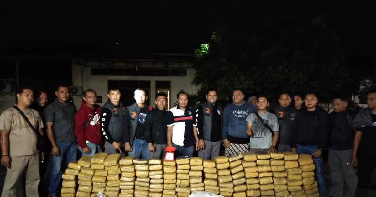 Polisi Amankan 160 Kg Ganja Kering di Perkebunan Karet