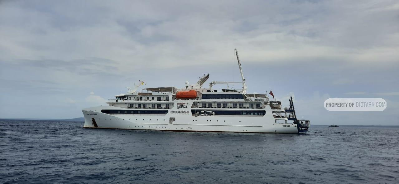 Kapal Pesiar Coral Adventurer Bergeser ke Flores Timur