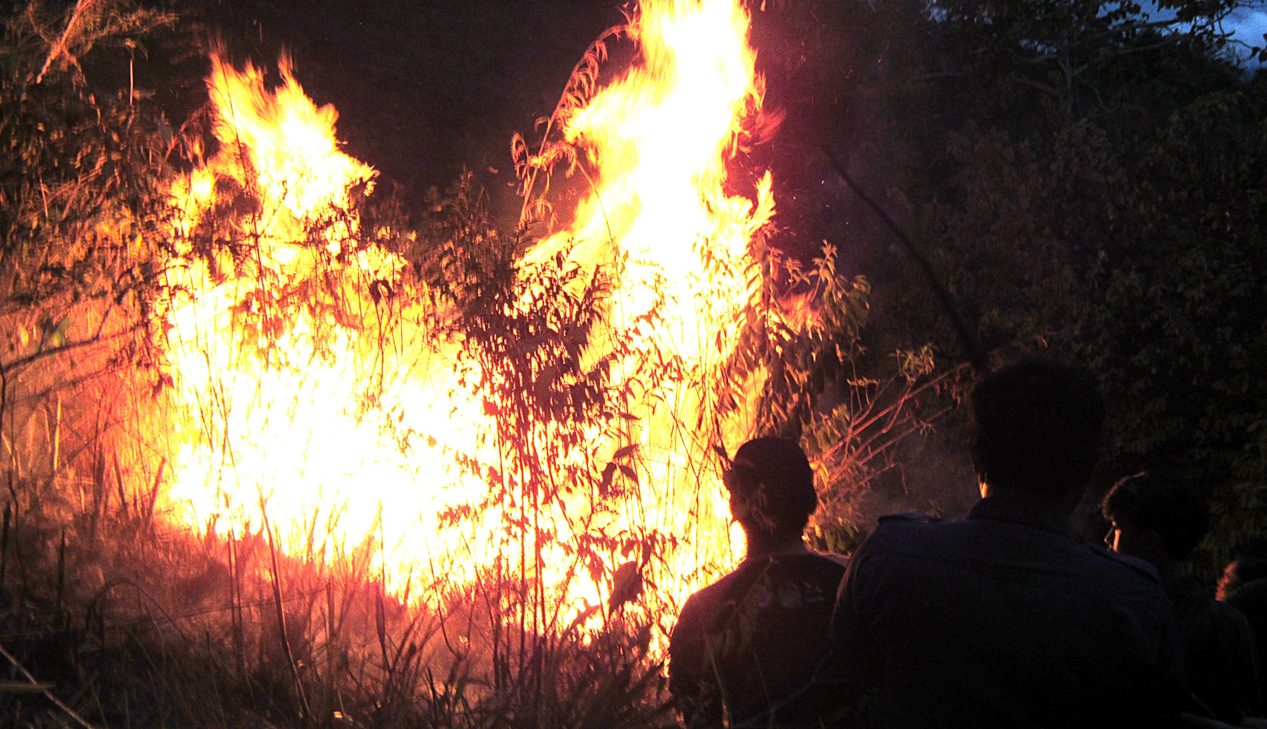 BREAKING NEWS, Lahan di Batu Nadua Padangsidimpuan Terbakar