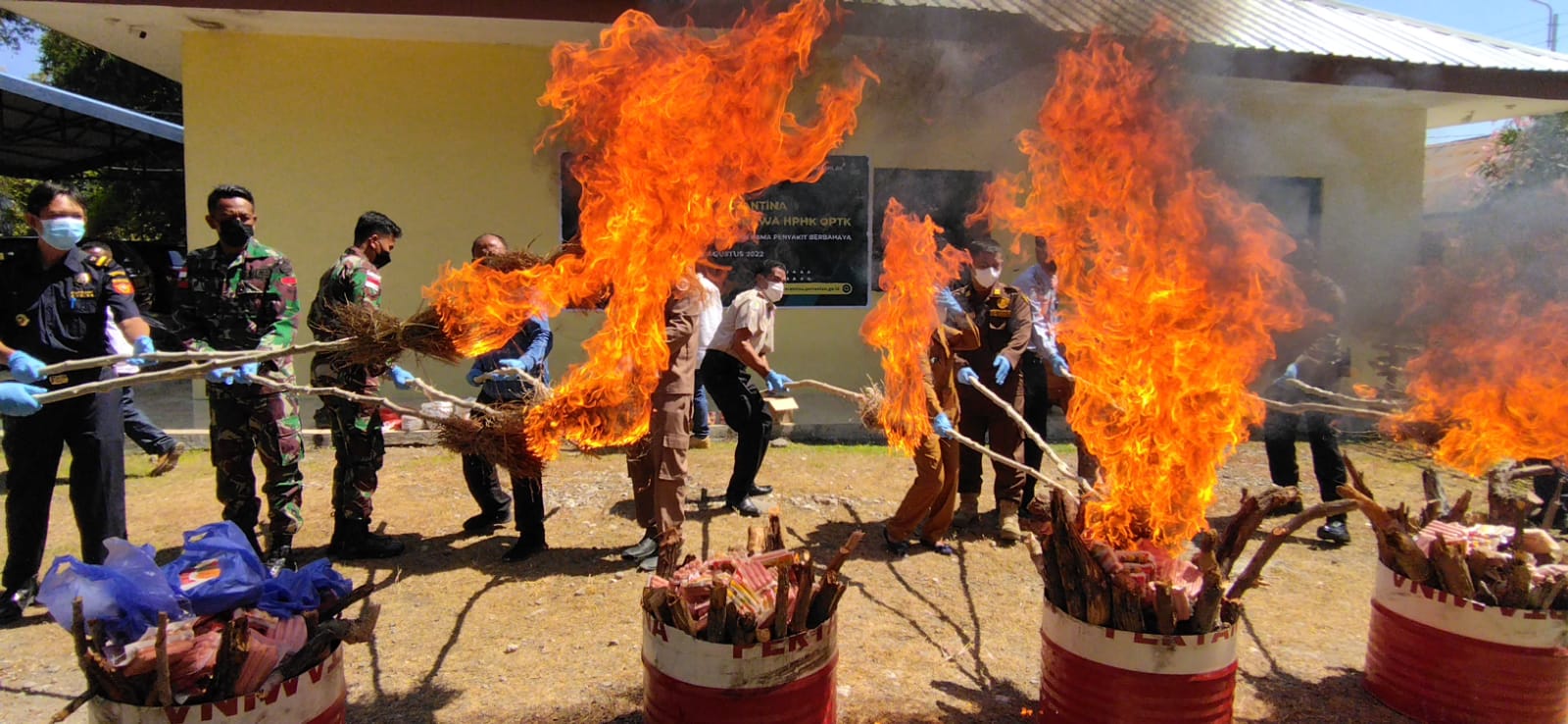 Ratusan Kilogram Daging Olahan Asal Timor Leste Dimusnahkan