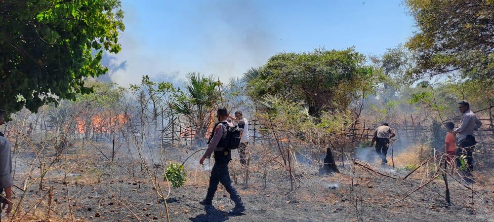 Kasat Samapta Polres Kupang dan Anggota Berjibaku Padamkan Kebakaran Lahan Warga
