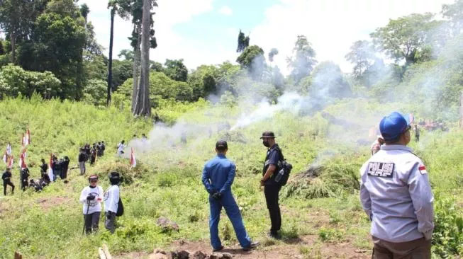 Polisi Temukan 25 Hektare Ladang Ganja di Aceh, Ada 9 Titik Lokasi!