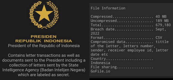 Hacker Bjorka Tebar Ancaman, Siap Bocorkan Data Rahasia Milik Presiden RI