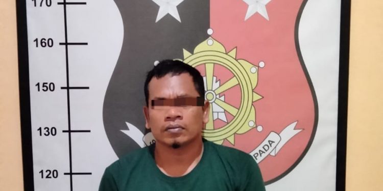 Kantongi Sabu, Warga Ulok Tano Paluta Ini Diangkut Polsek Padang Bolak