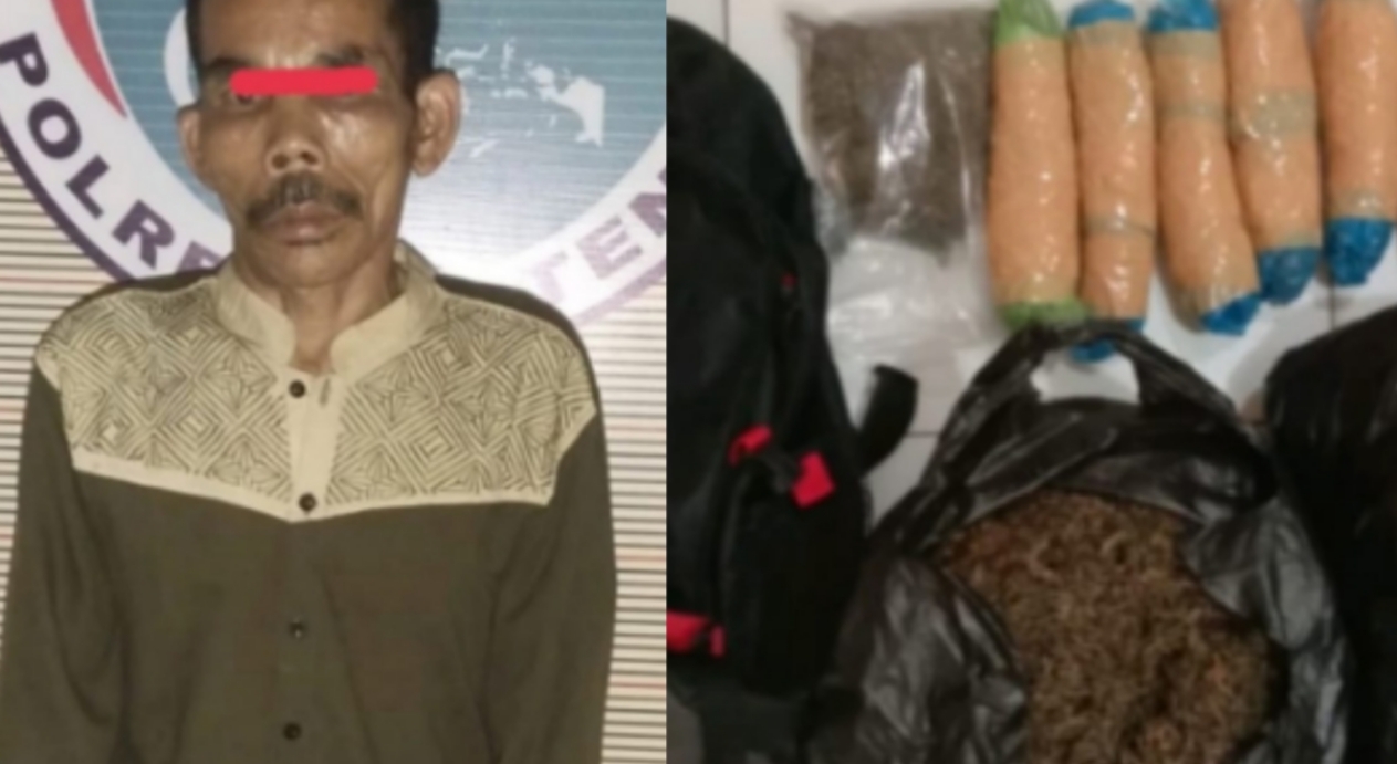Kurir Berkicau, Bandar Narkoba Setangah Abad di Tapteng Ikut Tertangkap