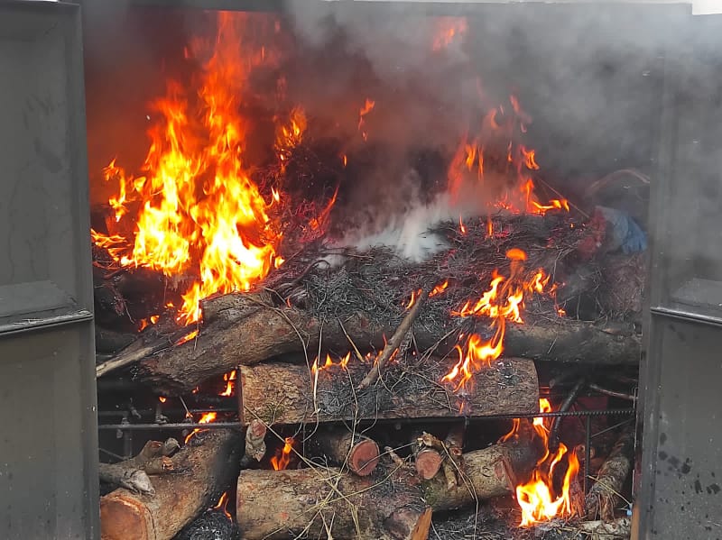 Ratusan Kilogram Daging Celeng Sitaan Asal Sulawesi Tenggara Dimusnahkan