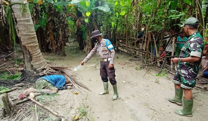 Lansia di Kabupaten TTS Ditemukan Tewas dalam Kebun