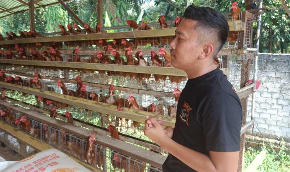 Ketersediaan Telur Ayam Bulan Ramadhan dan Jelang Hari Raya di Binjai dan Langkat Mencukupi