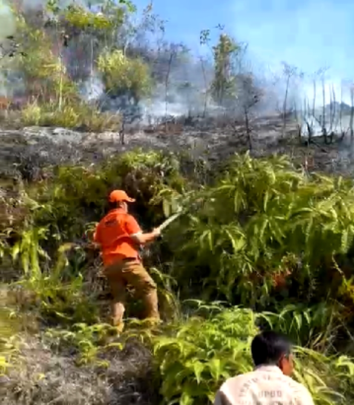 10 Hektar Lahan Terbakar di Bukit Teletubbies Padangsidimpuan