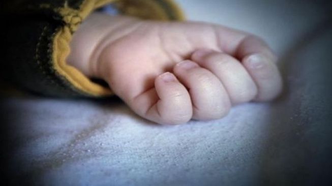 Warga Geger! Bayi Baru Dilahirkan Ditemukan di Lahan Kosong di Waingapu