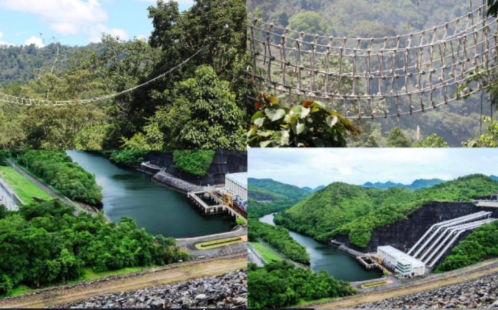 Jaga Ekosistem, PLTA Batang Toru Tambah Titik Arboreal