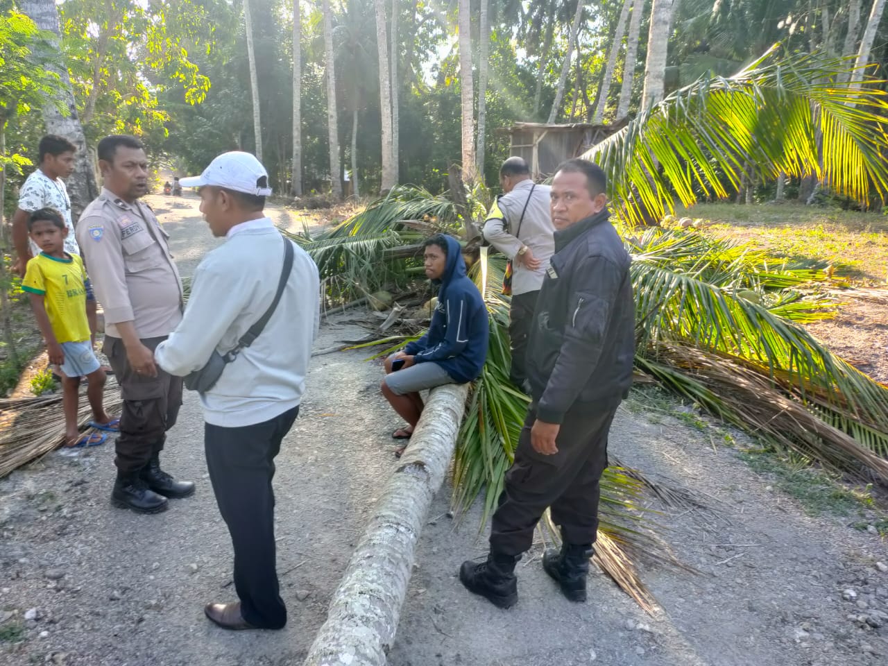 Naas, Siswa SMA di Kupang Tewas Tertimpa Pohon Kelapa