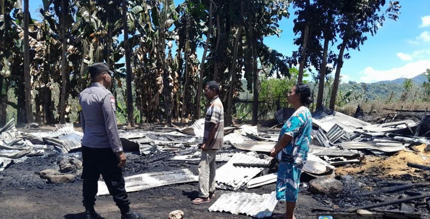 Ribuan Ayam Potong Hangus Terbakar