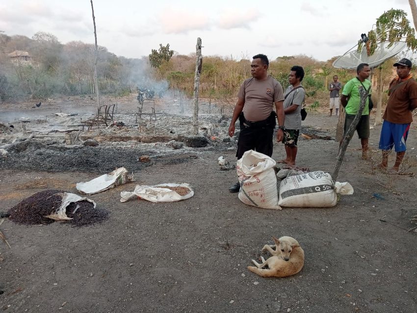 Rumah Warga TTS Terbakar Saat Pemilik ke Sawah