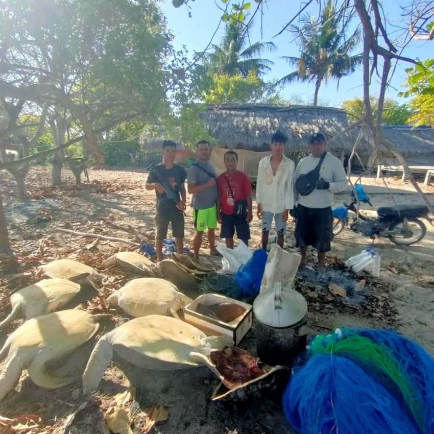 Polisi Tangkap Pelaku Penangkap Penyu di Perairan Sumba Timur