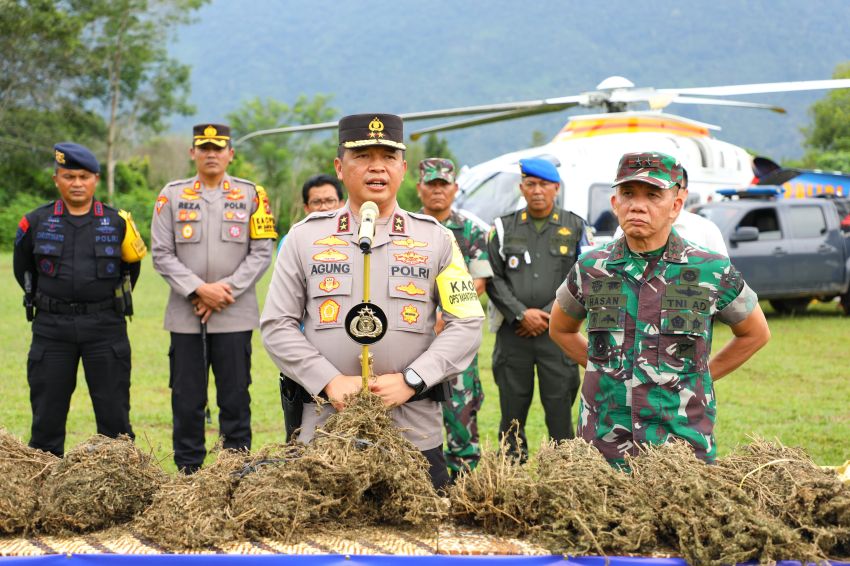 Ini Teknologi yang Dipakai Polda Sumut saat Buru 150 Hektar Ladang Ganja di Madina