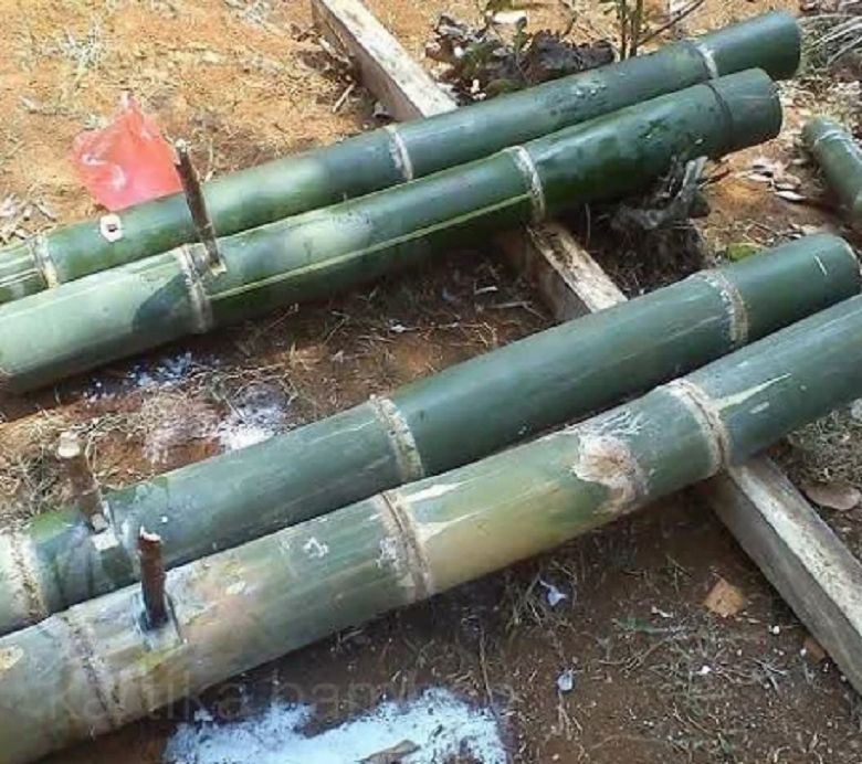 Meriam Bambu 'Makan Korban' Saat Hari Raya Natal di Ngada-NTT