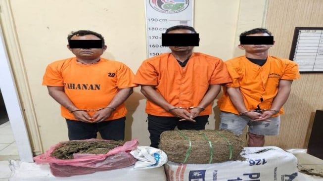 3 Pelaku Terlibat Peredaran 32 Kilogram Ganja di Langkat Diringkus Polisi