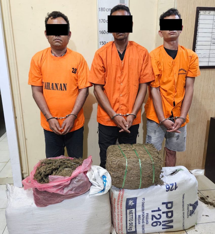 3 Kurir Ganja Diringkus Satres Narkoba Polres Langkat, 32 Kg Barang Bukti Diamankan