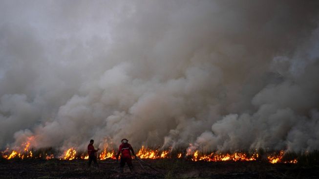 Sepanjang Januari-Februari, 19 Hektare Lebih Lahan di Riau Terbakar
