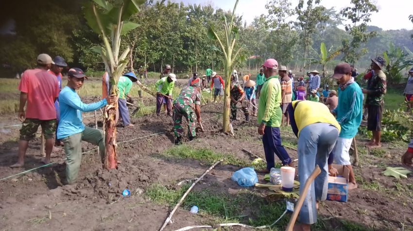 Kamis Bersinergi, Koramil Modo Bikin Parit Bareng Warga