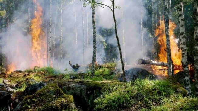 Warga Sumut Waspada! Lima Titik Panas Terpantau Rawan Kebakaran Lahan, Ini Penjelasan BMKG