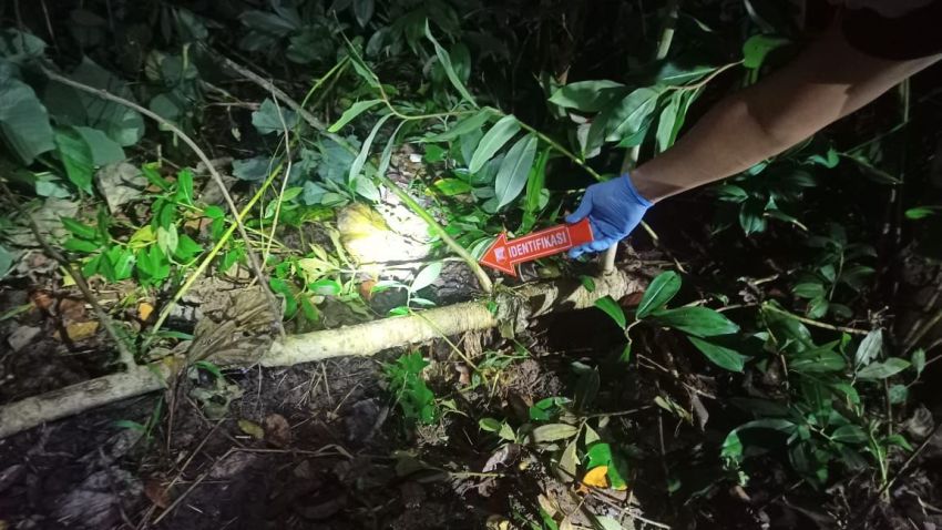 Petani di Sumba Tengah-NTT Ditemukan Meninggal dalam Semak di Belakang Rumah