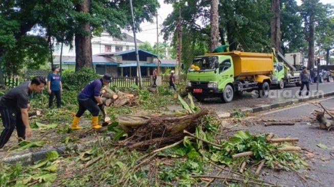 Naas! Pemotor di Medan Tewas Tertimpa Pohon Tumbang