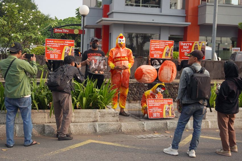 Tak Kunjung Terbitkan Komitmen Bebas Sangkar, Animal Friends Jogja Hadiahi McDonald’s Telur Penuh Darah