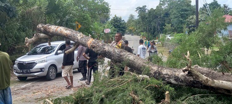 Pohon Tumbang dan Jalan Macet, Polsek Takari Langsung Turun Tangan