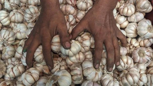 Harga Bawang Putih di Sumatera Utara Tinggi