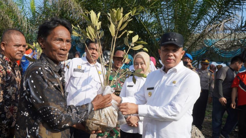 Peringati Hari Lingkungan Hidup, Pj Bupati Langkat Faisal Hasrimy Tanam 11.000 Pohon Mangrove di Kecamatan Brandan Barat