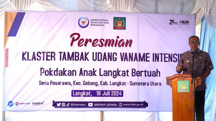 Pj. Bupati Langkat Faisal Hasrimy Resmikan Klaster Budidaya Udang Vaname Intensif untuk Tingkatkan Kesejahteraan Masyarakat