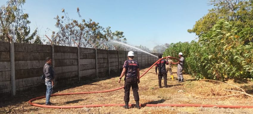 Setengah Hektar Lahan Milik PLTMG 40 MW Wairita Kabupaten Sikka Terbakar