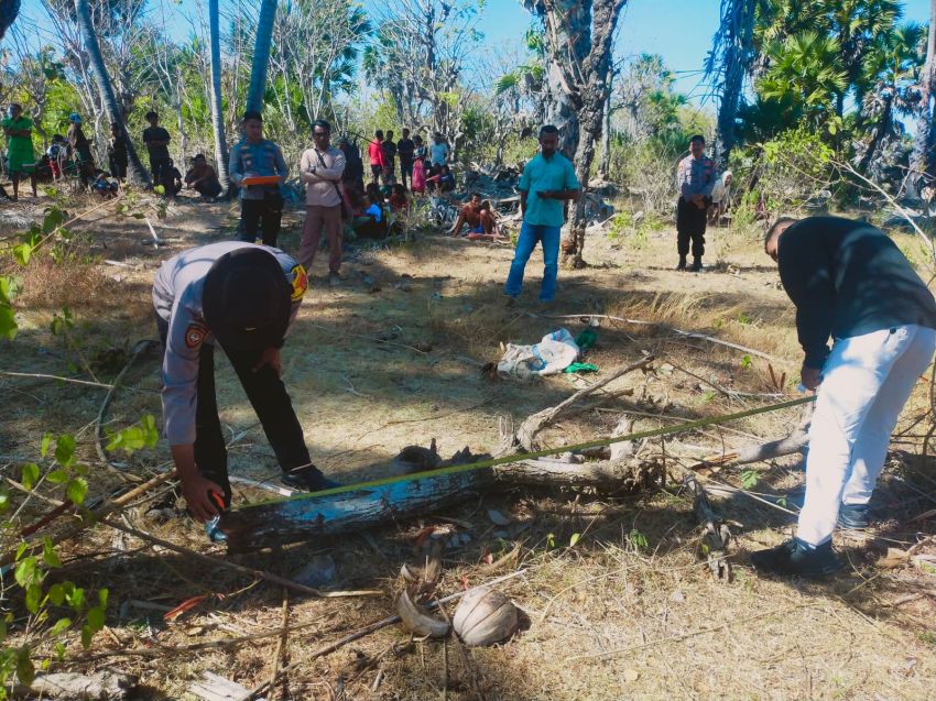 Jatuh dari Pohon Saat Cari Makanan Ternak, Lansia di Sabu Raijua Ditemukan Meninggal Dunia