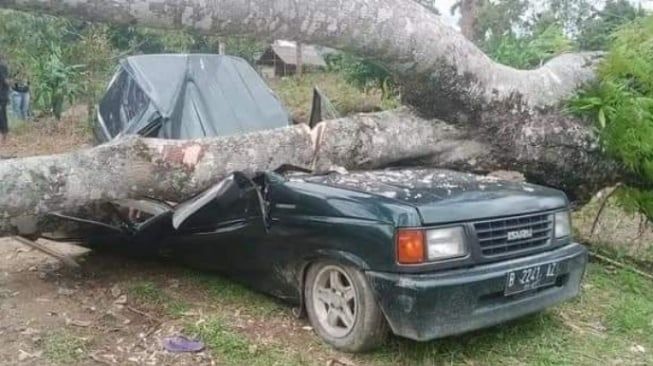 3 Orang Meninggal Usai Mobil Tertimpa Pohon di Kebun Durian Langkat