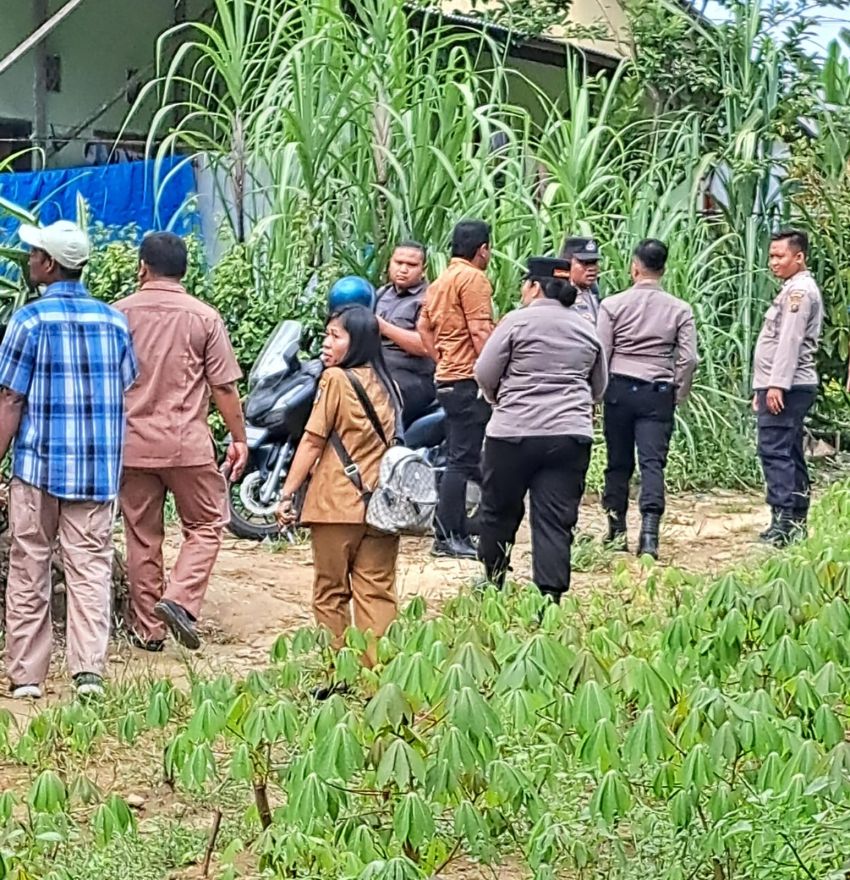 Warga Temukan Granat Nanas Di Ladang Ubi, Kapolsek Padang Hilir: Penemuan Ini Jangan Sampai Viral di Medsos