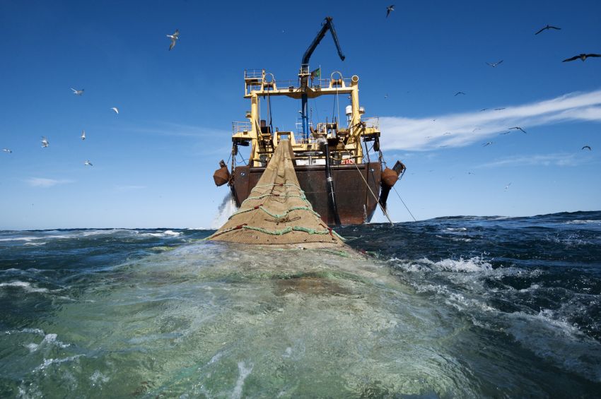 Operasi Illegal Fishing di Perairan NTT, Dit Polairud Polda NTT Ungkap Empat Kasus Kejahatan di Laut