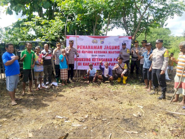 Dukung Ketahanan Pangan, Polres Kupang Garap Satu Hektar Lahan Tidur