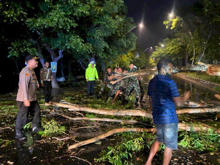 Hujan Deras Disertai Angin Tumbangkan Sejumlah Pohon, Polisi-TNI Turun Bersihkan Jalan