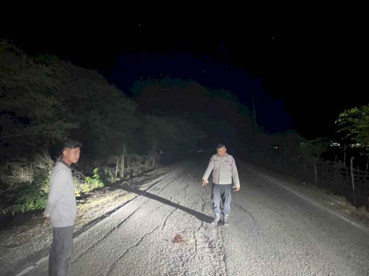 Celaka Tunggal, Pemuda di Rote Ndao Luka Parah