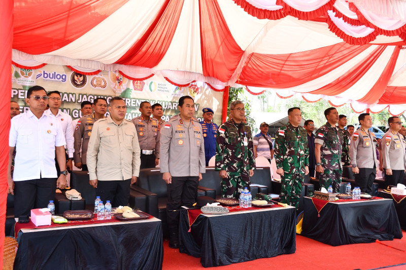 Jadi Lumbung Jagung Nasional, 1.111,05 Hektar Lahan di NTT Ditanami Jagung Kuartal IV