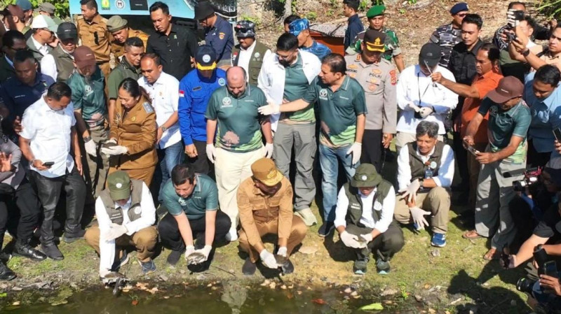 Puluhan Ekor Kura-kura Dilepasliarkan Kembali di Perairan Rote Ndao-NTT