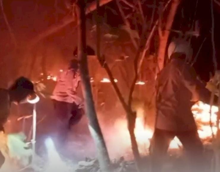 ODGJ di Sabu Raijua Diduga Bakar Lahan Milik Warga