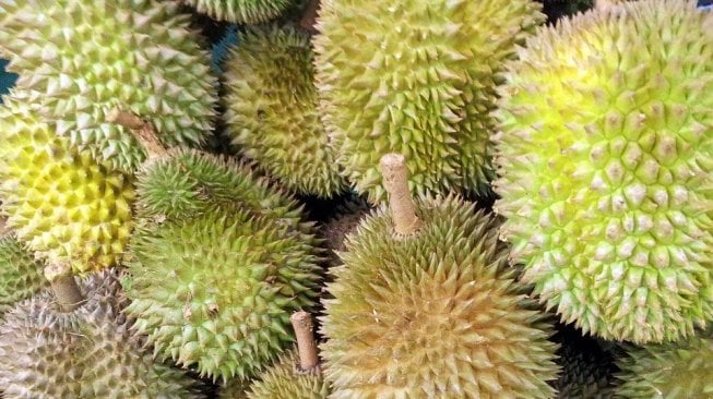 10 Ton Durian Ilegal Masuk Indonesia Setiap Hari lewat Riau dan Batam, DPR Minta Penindakan Tegas