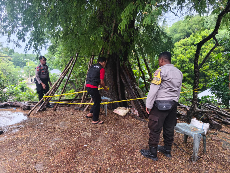 Warga TTU Temukan Amunisi di Kebun