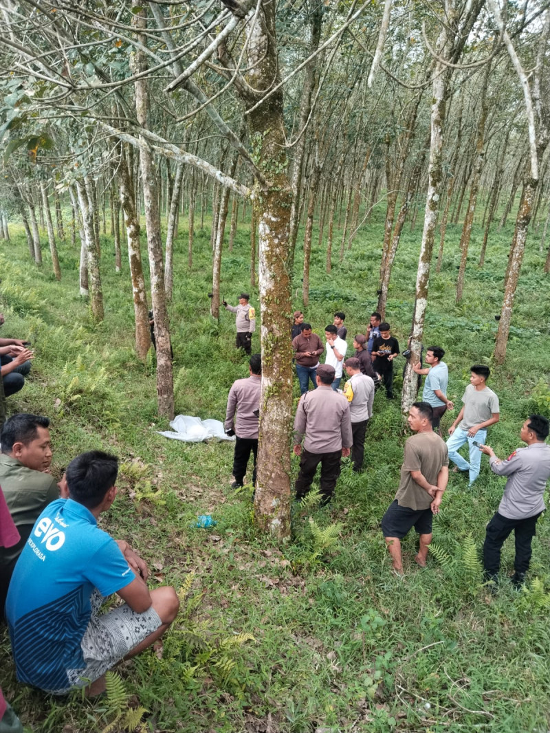 Mayat Remaja Perempuan Ditemukan di Perkebunan Bridgestone Simalungun, Polisi Selidiki Dugaan Pembunuhan