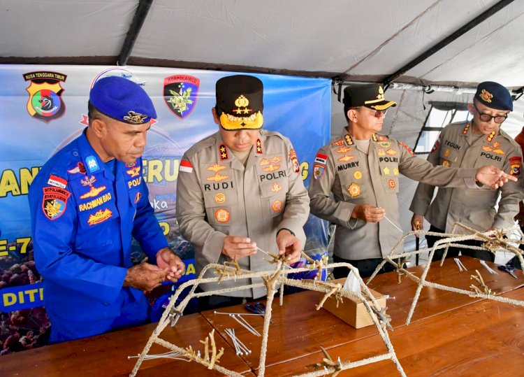 Diinisiasi Direktur Polairud Polda NTT, Kapolda NTT Ikut Tanam Terumbu Karang untuk Transplantasi