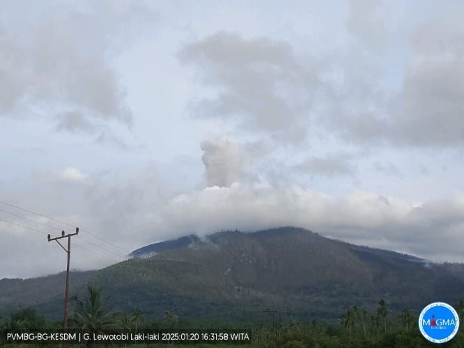 Erupsi Selama 15 Menit, Gunung Lewotobi Laki-laki Erupsi Semburkan Abu Vulkanik 1,2 Kilometer