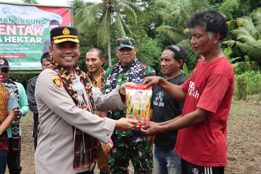 Gandeng Berbagai Elemen Masyarakat, Polres Sikka Tanam Jagung Hibrida BISI 2 dan Hibrida JFR 71